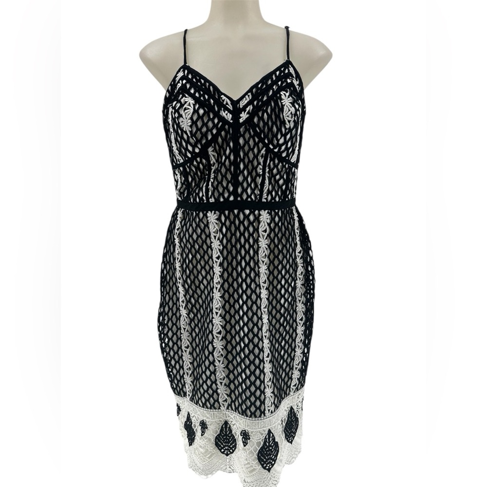 Harlyn Lace Crochet Overlay Floral Embroidered Fit Dress Sz S Whimsy